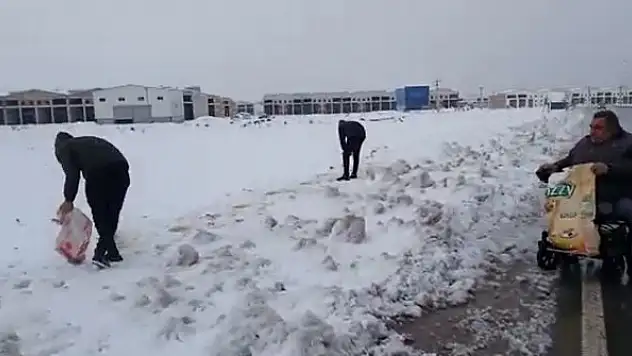 Engelli aracına binip sokak hayvanlarına mama bıraktı