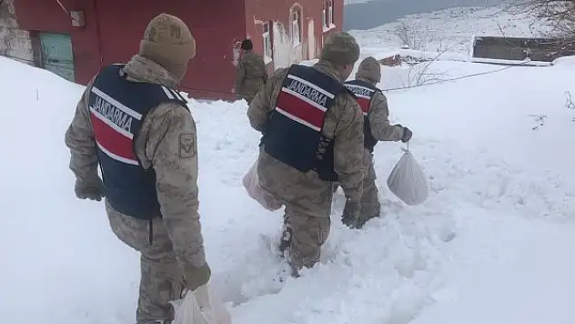 Yaşlı çiftin yardım çağrısına jandarma yetişti