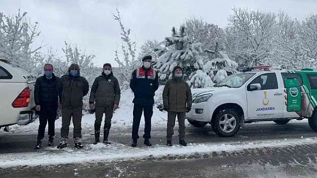 Yalova'da yaban ve av hayvanları için doğaya yem bırakıldı