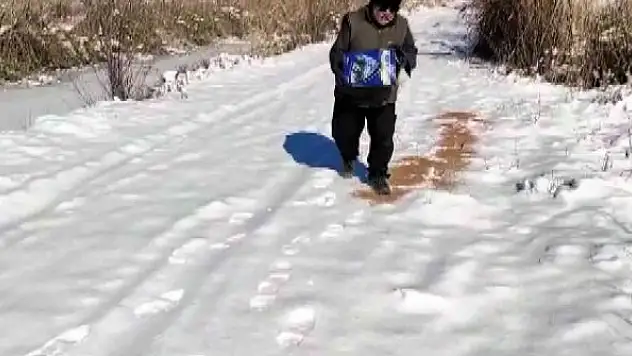 Donan gölde yiyeceksiz kalan yaban hayatının yardımına koştular