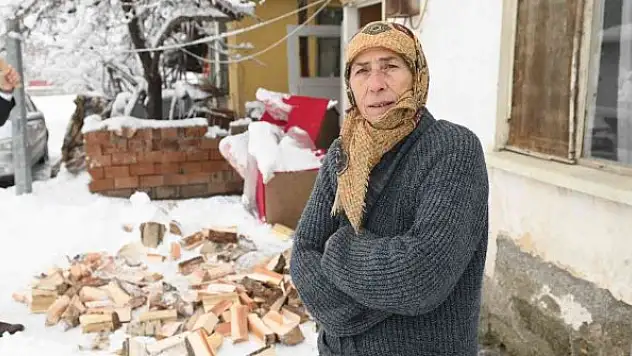 Odunu biten yaşlı kadının imdadına zabıta yetişti