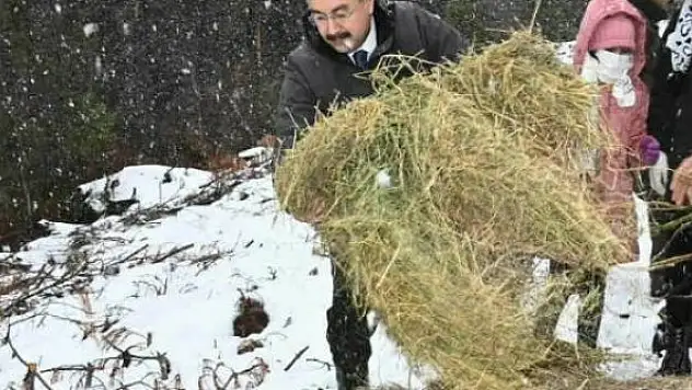 Yoğun kar yağışında yaban hayvanları unutulmadı