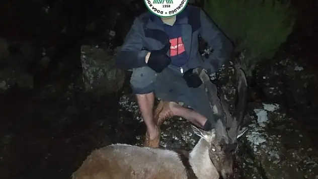 Yaban keçilerini vurduklarına pişman oldu