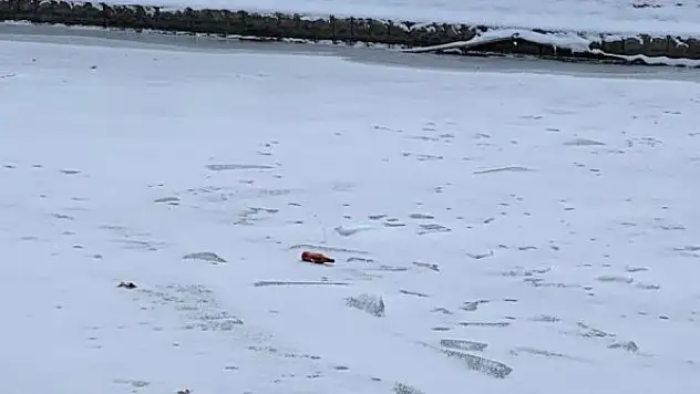 Donmuş Porsuk Çayı üzerinde çöpler