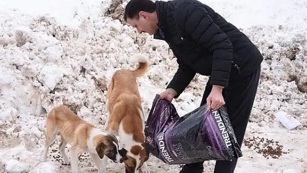 Açtıkları yola mama bırakmayı ihmal etmiyorlar