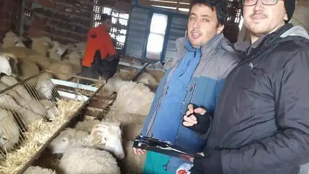 Simav'da 'Tavuk vebası' taraması