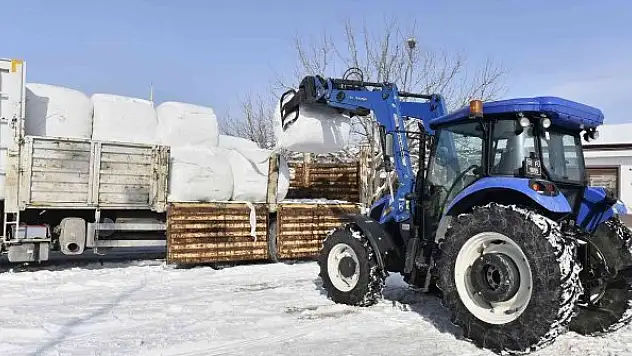 Ankara'da yüzde 100 hibe hayvan yem desteği başladı