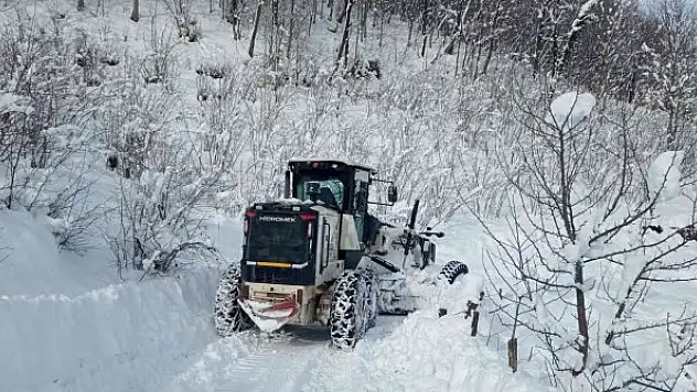 Ordu'nun 19 ilçesinde karla mücadele sürüyor