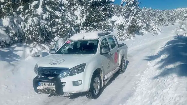 Aç kalan vaşak kediyi parçaladı