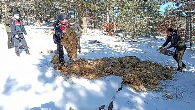 Karla kaplı Kazdağları'na yaban hayvanları için yem bırakıldı