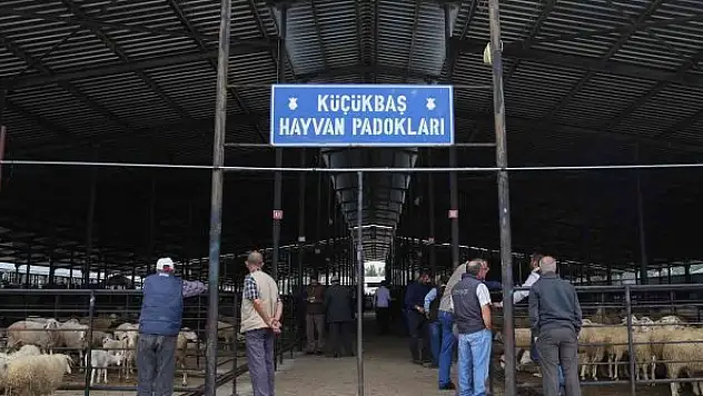 Kütahya'da çiçek hastalığı yüzünden hayvan pazarı küçükbaş hayvan girişlerine kapatıldı