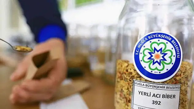 Türkiye'nin 80 iline yerel tohum dağıtımı 1 Şubat'ta başlıyor