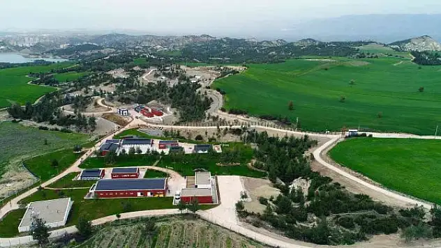 Büyükşehir 3 yılda 50 bin 576 sokak hayvanını misafir etti