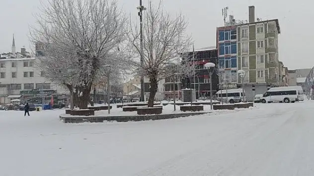 Malazgirt'te kar yağışı