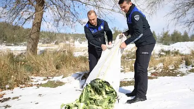 Yaban hayvanları unutulmadı
