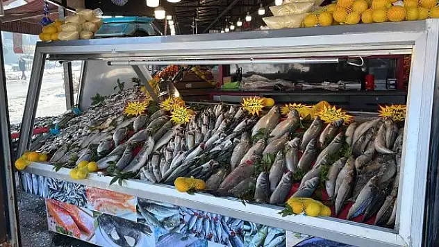 Deniz soğudu, balık bollaştı