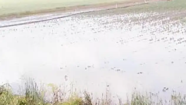 Altınekin'de çiftçiyi sağanak vurdu