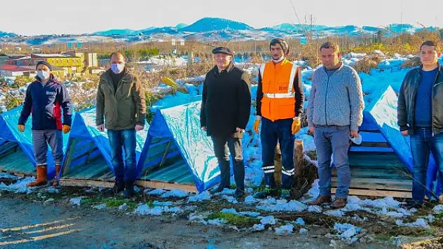 Sokak hayvanlarına sıcak yuva