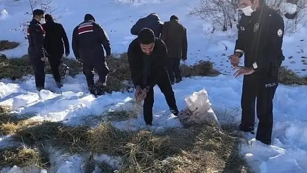 Yaban hayvanları için doğaya yem bırakıldı