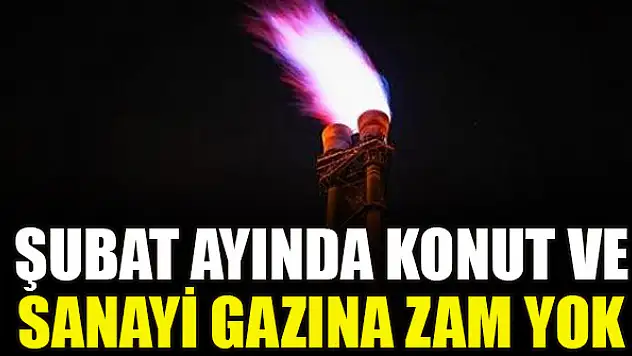 Şubat ayında konut ve sanayi gazına zam yok