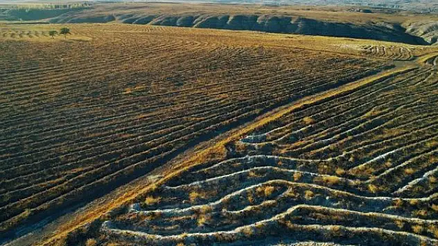 500 bin fidan toprakla buluşturuldu