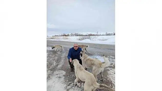 Sokak hayvanlarını elleri ile besliyor