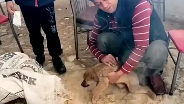 İnsanlık ölmemiş dedirten davranış