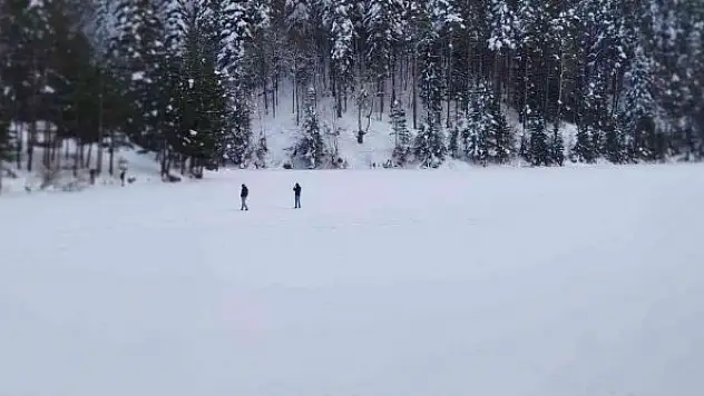 Bir gölet soğuktan tamamen dondu