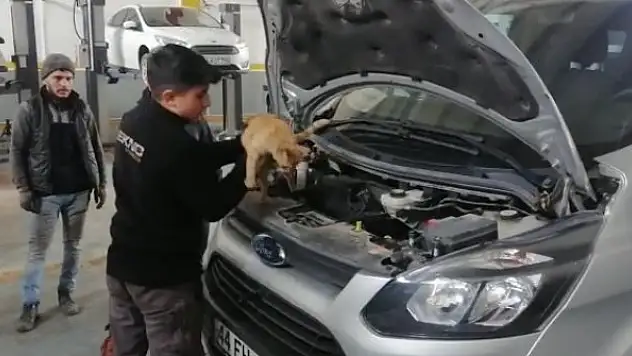 Isınmak için girdiği aracın motorundan çıkmak istemedi