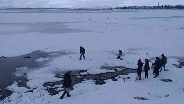 Beyşehir'de üniversiteli öğrencilerden su kuşlarını yemleme mesaisi