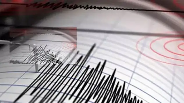 Google depremi erken bildirecek