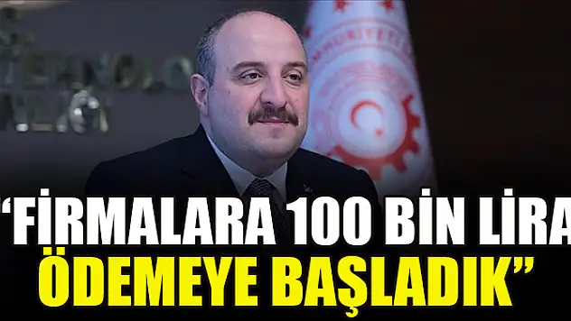 Bakan Varank: Firmalara 100 bin lira ödemeye başladık