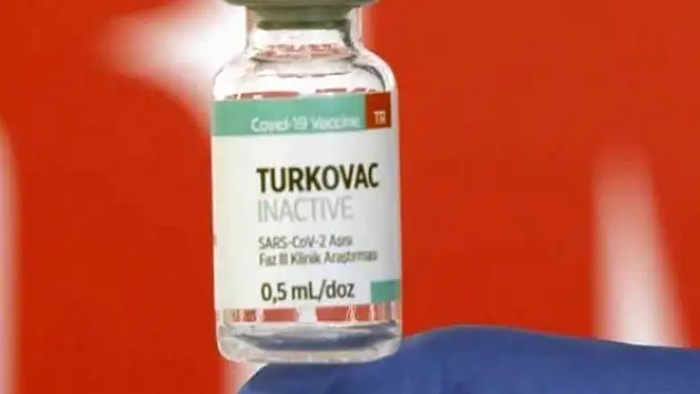 Muğla'da yerli aşı TURKOVAC uygulaması başlıyor