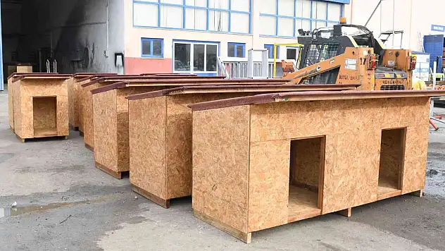 Atıklar ahşaplar sokak hayvanlarına yuva oldu