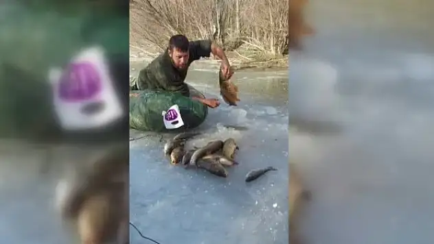 Buz altından elle balık çıkarıyor