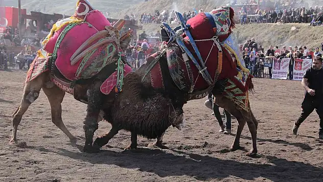 Kıyasıya mücadele eden pehlivan devler arenayı ısıttı