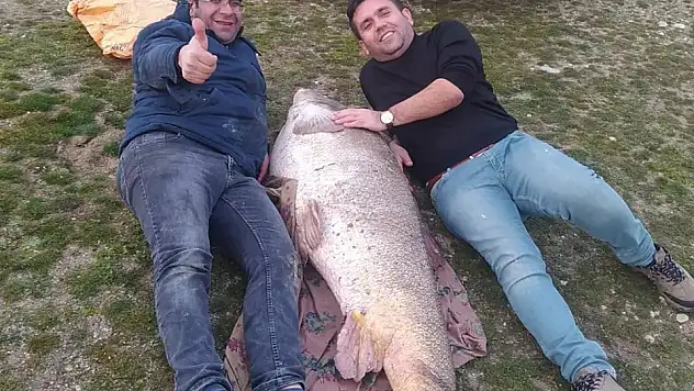 Kahta'da insan boyunda turna balığı yakalandı