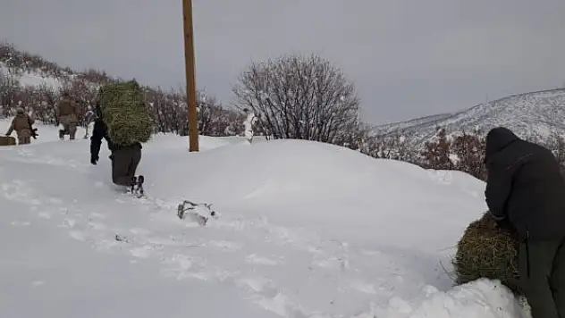 Yaban hayatına bir ayda 7  ton yem bırakıldı