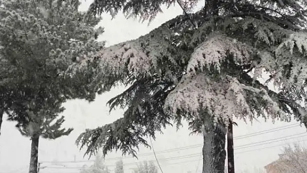 Bilecik'te kar yağışı etkili oluyor