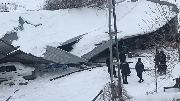 Yoğun kar yağışında mandıranın çatısı çöktü