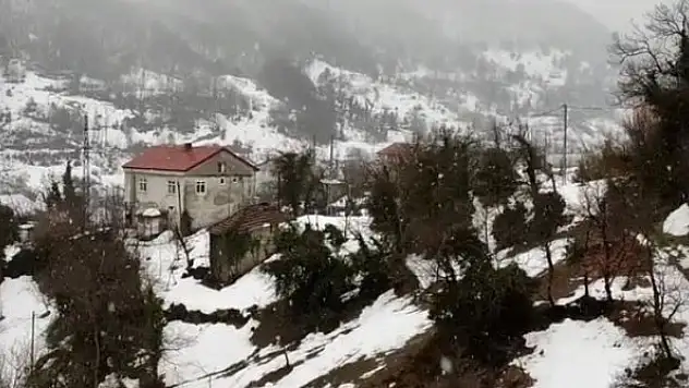Zonguldak'ta yeniden kar yağışı başladı