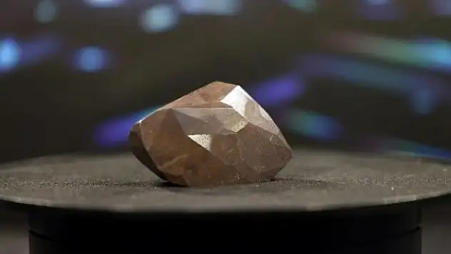 Dünyanın en büyük siyah elması satıldı