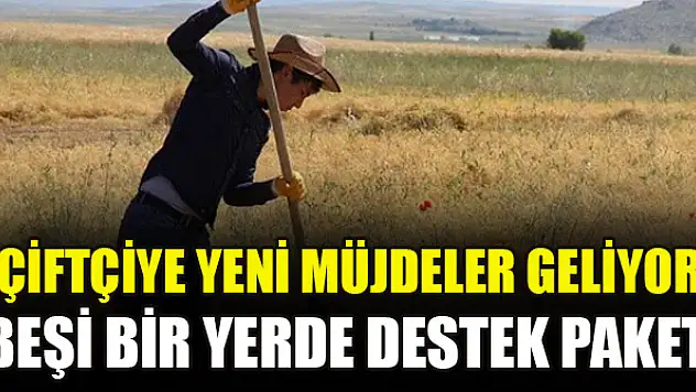 Çiftçiye yeni müjdeler geliyor: Beşi bir yerde destek paketi