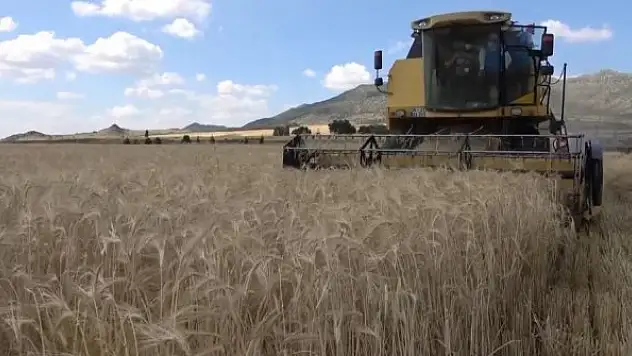 Başvuran alıyor, çiftçilere yüzde 50 hibeli tarım desteği