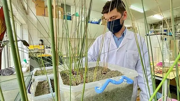 Arıtılan atık sudan sera için elektrik üreten sistem geliştirildi