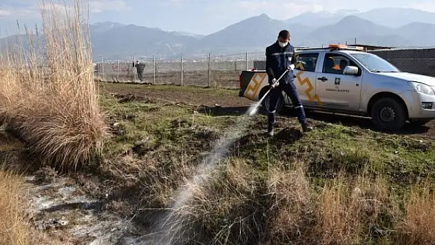 Osmaniye'de vektörle mücadele yıl boyu sürüyor