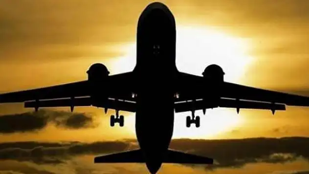 Yolcular görünce şoke oldu! Uçaktaki yılan acil iniş yaptırdı