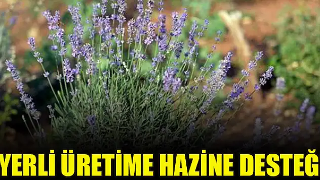 Yerli üretime hazine desteği