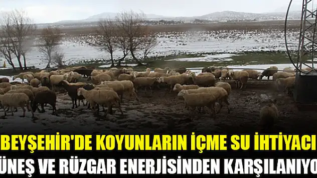 Beyşehir'de koyunların içme su ihtiyacı güneş ve rüzgar enerjisinden karşılanıyor