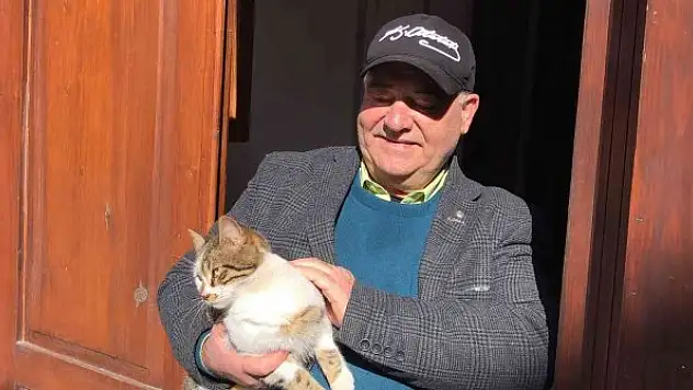 Dernek başkanı kedilere sahip çıkıyor